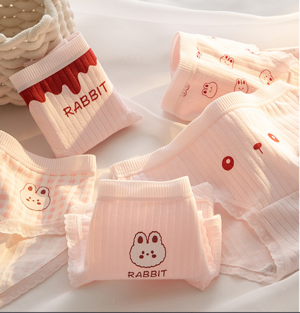 Quần lót nữ Cotton cao cấp mềm mại, thấm hút mồ hôi hình thỏ hồng cute - L112