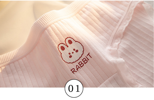Quần lót nữ Cotton cao cấp mềm mại, thấm hút mồ hôi hình thỏ hồng cute - L112