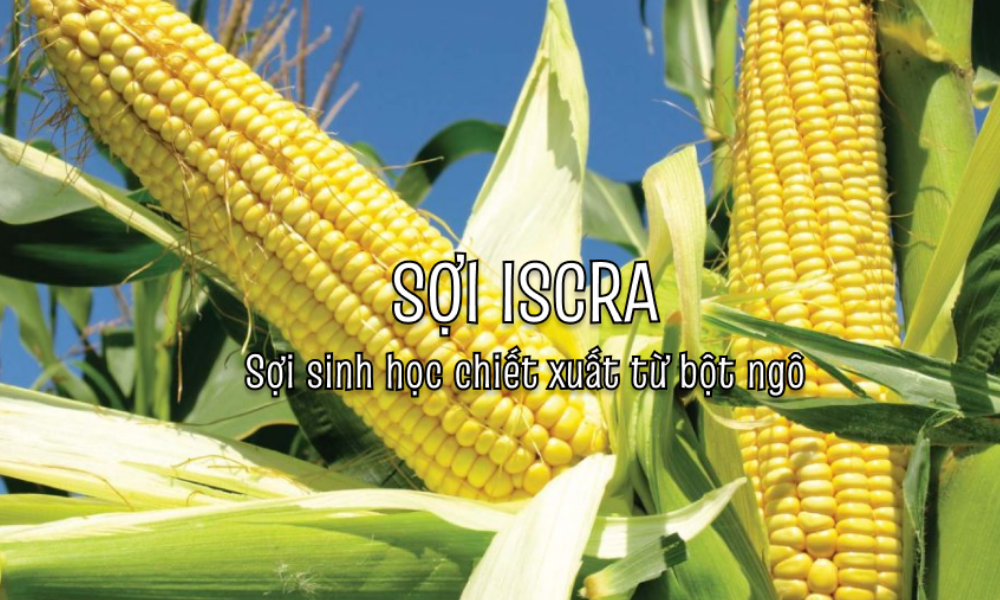 Vải Iscra là gì? Ứng dụng thực tế của vải Iscra trong ngành thời trang